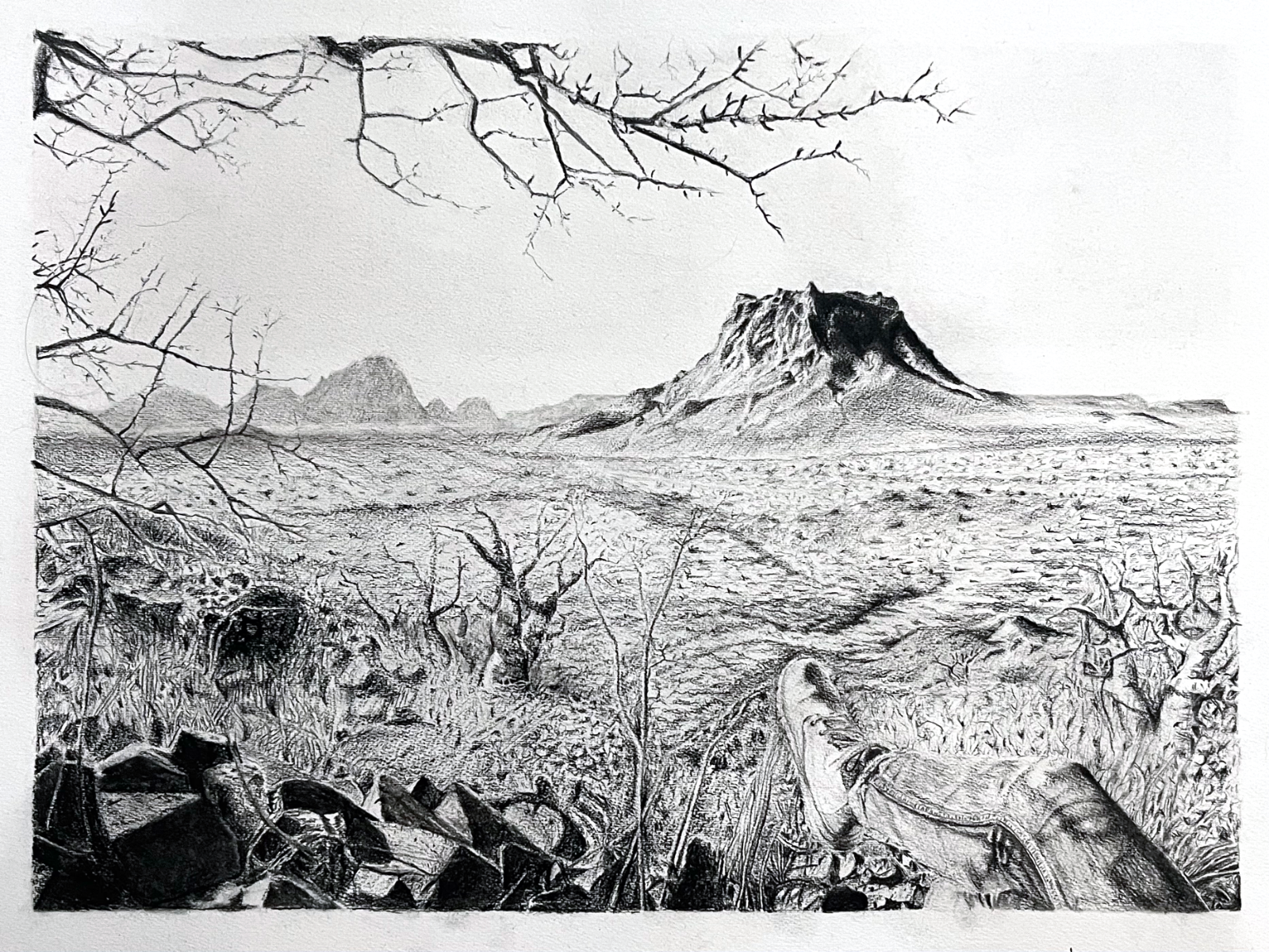 Desert