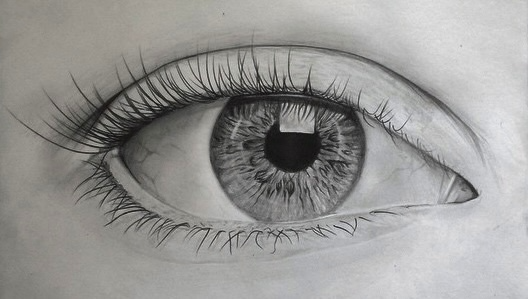 Eye